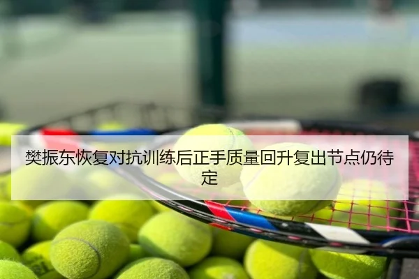 樊振东恢复对抗训练后正手质量回升复出节点仍待定