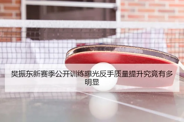 樊振东新赛季公开训练曝光反手质量提升究竟有多明显