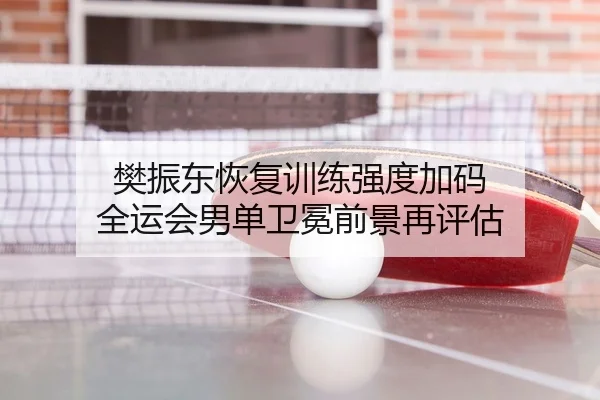 樊振东恢复训练强度加码 全运会男单卫冕前景再评估