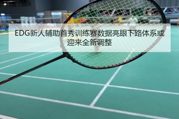 EDG新人辅助首秀训练赛数据亮眼下路体系或迎来全新调整